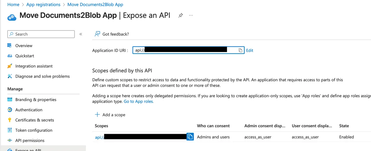 App Registration Scope
